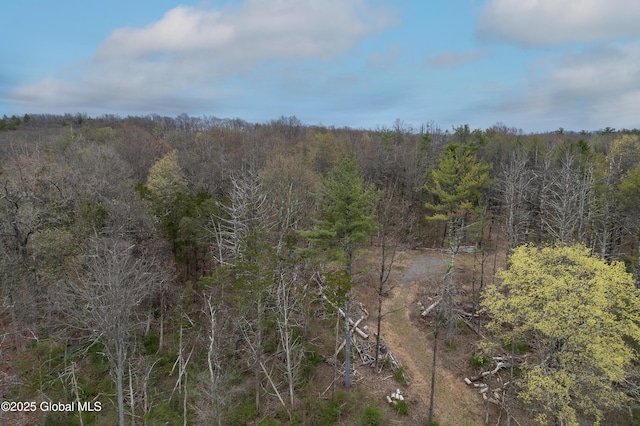 214 Vosenkill Rd, Athens, NY 12015 - view of nature featuring a view of trees