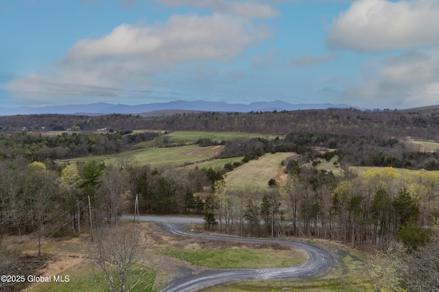 214 Vosenkill Rd, Athens, NY 12015 - mountain view with a forest view