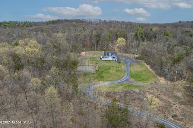 214 Vosenkill Rd, Athens, NY 12015 - drone / aerial view with a view of trees