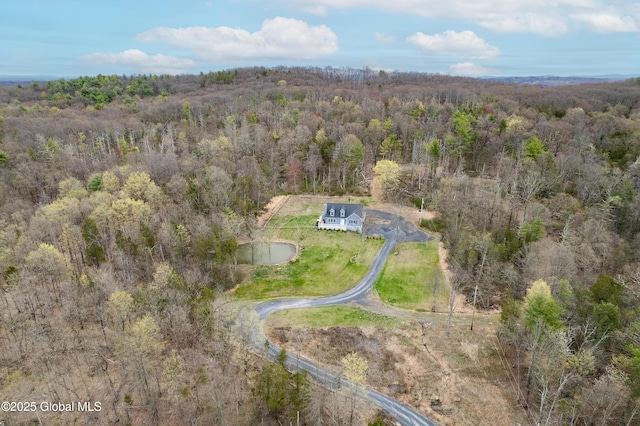 214 Vosenkill Rd, Athens, NY 12015 - aerial view with a wooded view