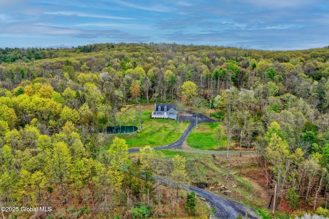 214 Vosenkill Rd, Athens, NY 12015 - aerial view featuring a view of trees