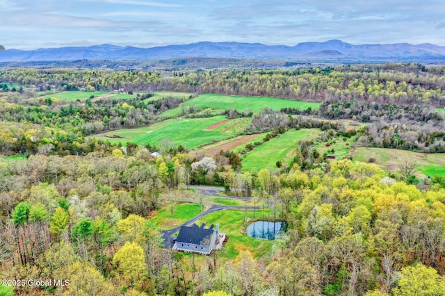214 Vosenkill Rd, Athens, NY 12015 - drone / aerial view featuring a mountain view