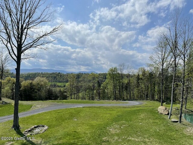 214 Vosenkill Rd, Athens, NY 12015 - view of property's community with a lawn and a forest view