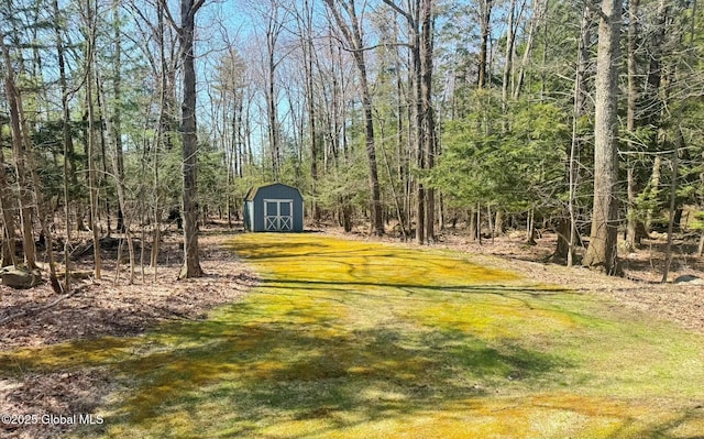 view of yard with a storage shed and an outdoor structure