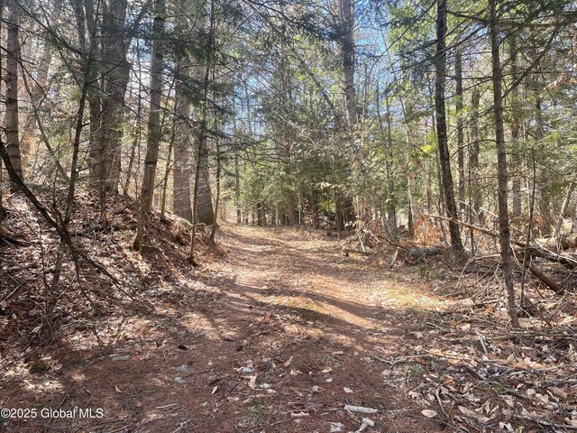 385 Johnson Rd, Horicon, NY 12808 - photo 4