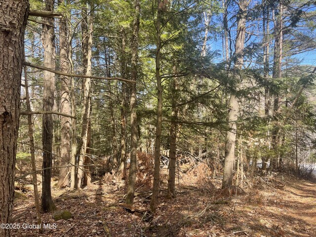 385 Johnson Rd, Horicon, NY 12808 - photo 7
