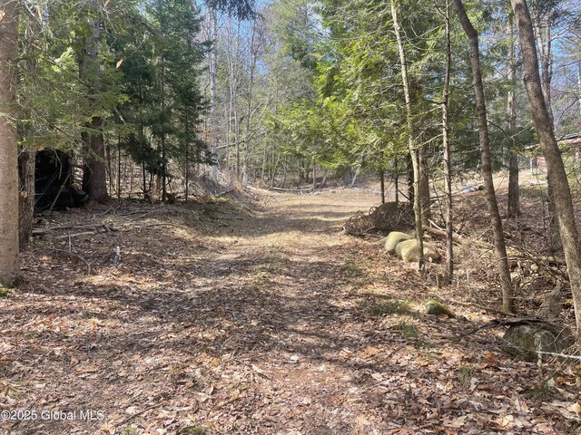 385 Johnson Rd, Horicon, NY 12808 - photo 8