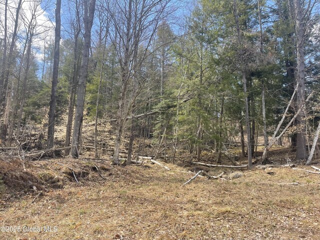 385 Johnson Rd, Horicon, NY 12808 - photo 13
