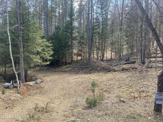 385 Johnson Rd, Horicon, NY 12808 - photo 15