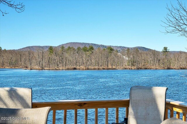 4 Big Bay Rd, Queensbury, NY 12804 - photo 48