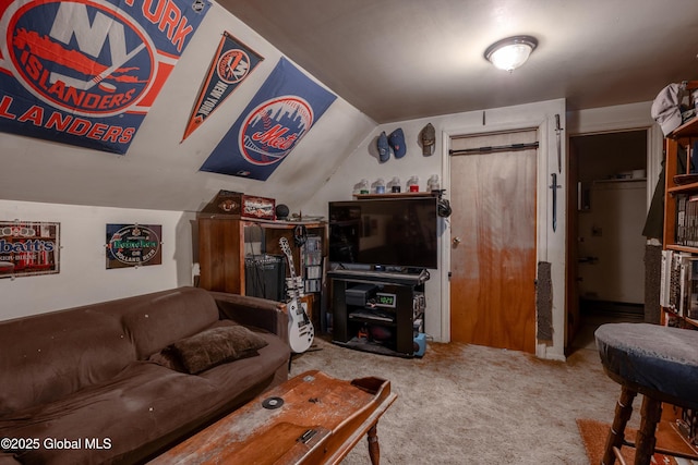 192 Broadway, Fort Edward, NY 12828 - carpeted living room with lofted ceiling