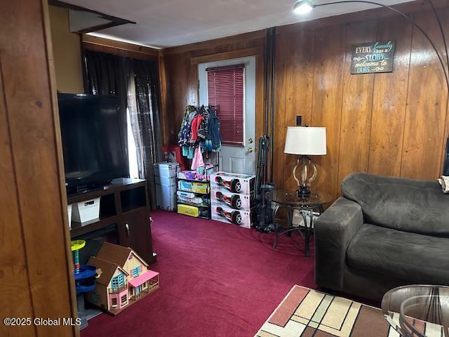 living area with wooden walls and carpet floors
