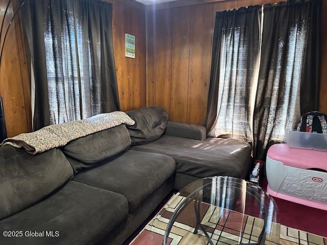 living area with wooden walls