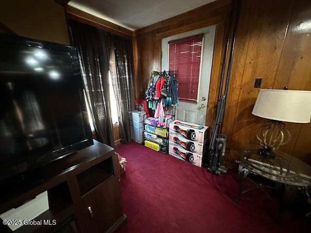 interior space featuring carpet flooring and wood walls