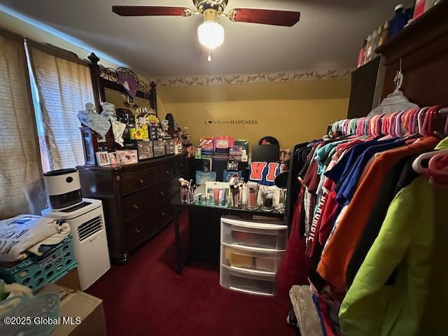 walk in closet featuring carpet floors and a ceiling fan