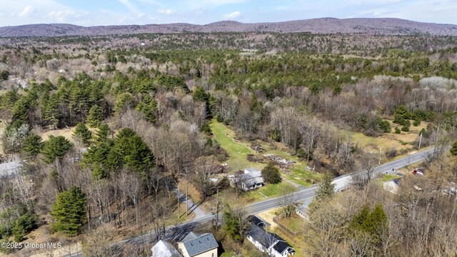 491 Allen Rd, Greenfield, NY 12859 - photo 50