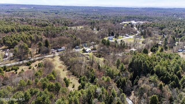 491 Allen Rd, Greenfield, NY 12859 - photo 52