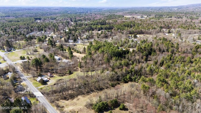 491 Allen Rd, Greenfield, NY 12859 - photo 53