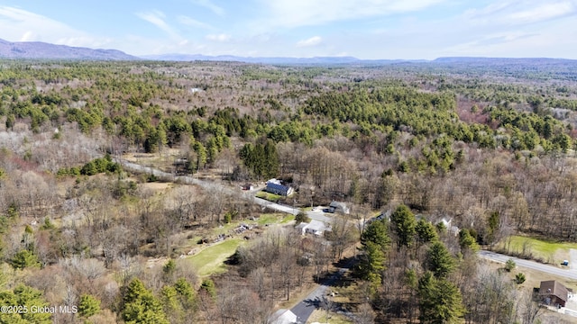 birds eye view of property with a mountain view and a forest view