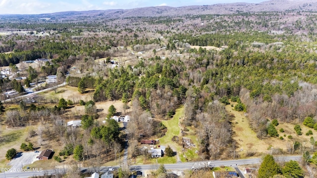birds eye view of property with a view of trees and a mountain view