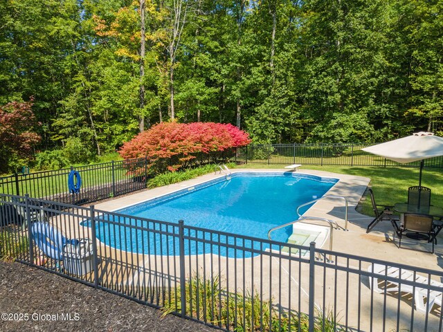 230 Zicha Rd, Esperance, NY 12092 - view of pool with fence, a fenced in pool, a patio area, a diving board, and a yard