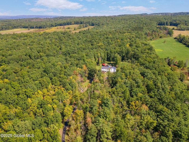 230 Zicha Rd, Esperance, NY 12092 - aerial view with a view of trees