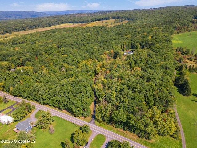 230 Zicha Rd, Esperance, NY 12092 - aerial view with a forest view