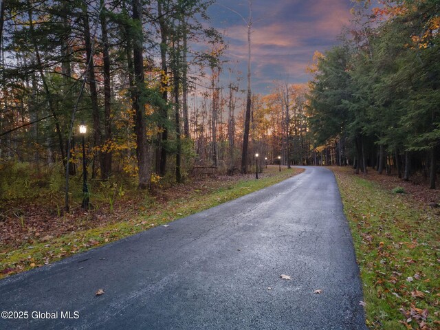 230 Zicha Rd, Esperance, NY 12092 - view of street
