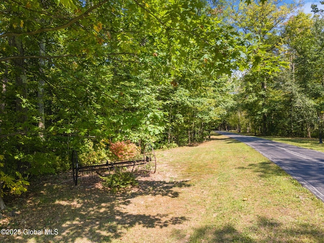 230 Zicha Rd, Esperance, NY 12092 - view of road with a wooded view