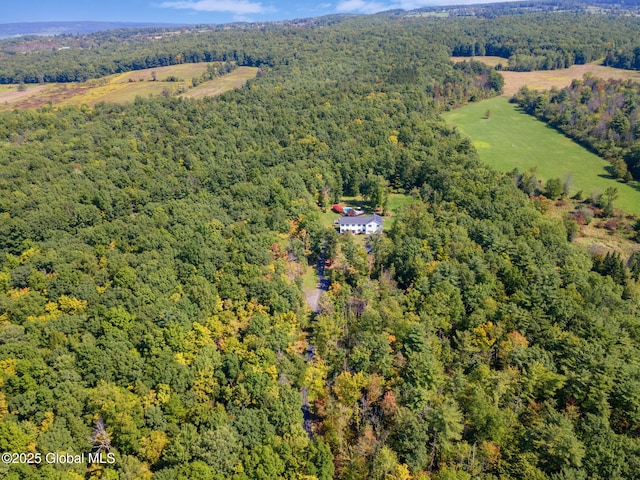 230 Zicha Rd, Esperance, NY 12092 - drone / aerial view featuring a forest view