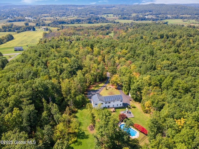 230 Zicha Rd, Esperance, NY 12092 - birds eye view of property with a forest view