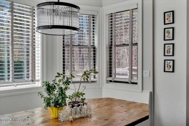 1 Joshua Rd, Saratoga Springs, NY 12866 - dining space with a healthy amount of sunlight