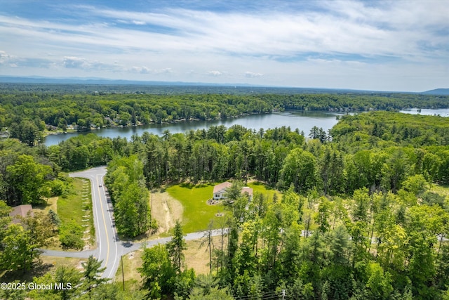 7 Mountainview Ter, Queensbury, NY 12845 - photo 54