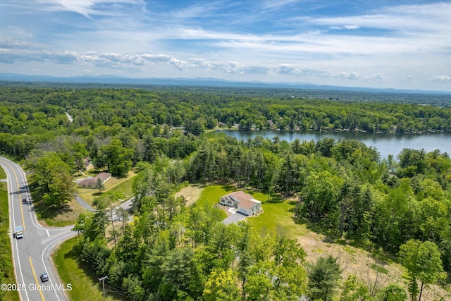7 Mountainview Ter, Queensbury, NY 12845 - photo 59