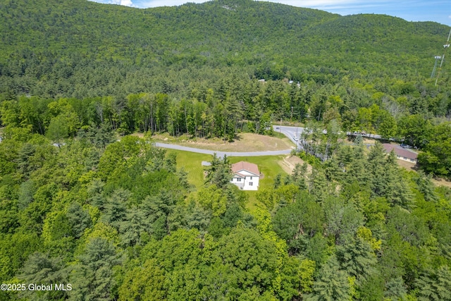 7 Mountainview Ter, Queensbury, NY 12845 - photo 57