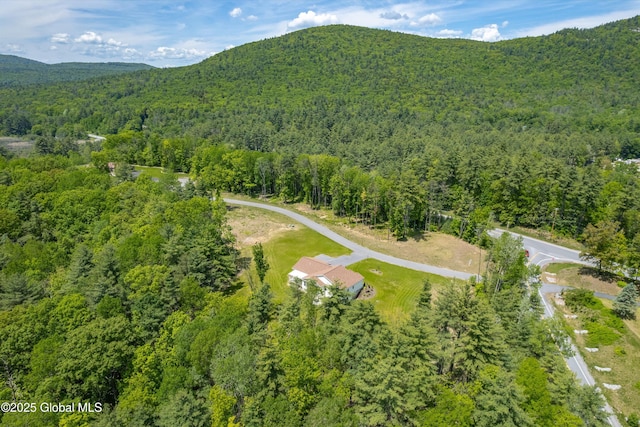 7 Mountainview Ter, Queensbury, NY 12845 - photo 3