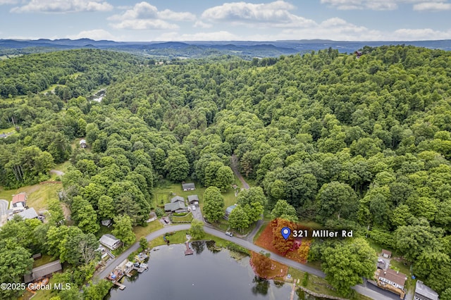 birds eye view of property featuring a view of trees and a water view