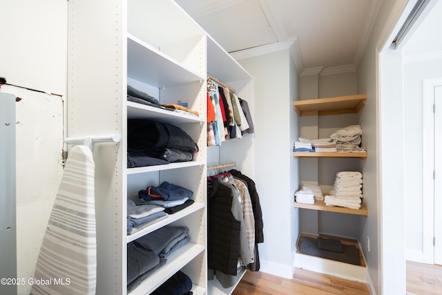 walk in closet with wood finished floors