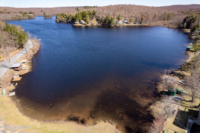 bird's eye view with a view of trees and a water view