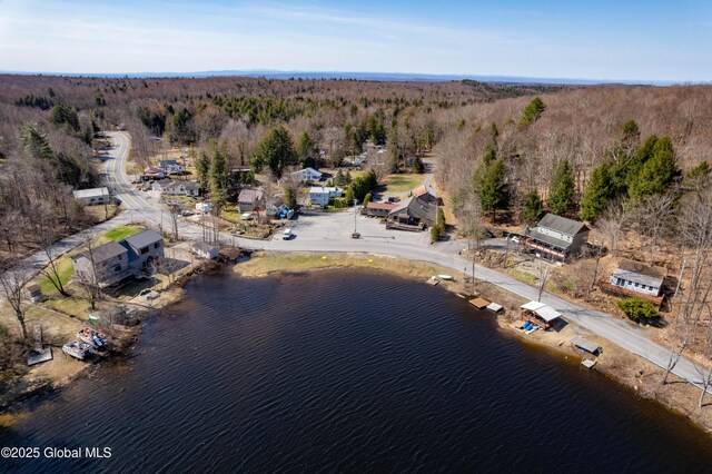 birds eye view of property with a view of trees and a water view