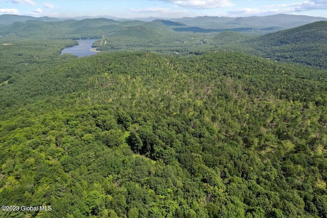 1181 Hunt Lake Rd Unit N, Corinth, NY 12822 - drone / aerial view with a water and mountain view and a wooded view