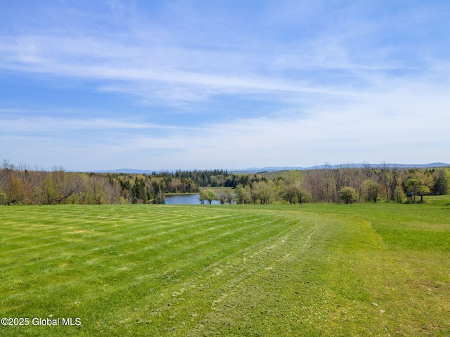 2694 State Route 10, Summit, NY 12175 - view of green lawn featuring a rural view and a water view