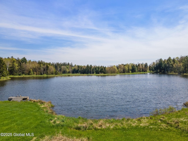 2694 State Route 10, Summit, NY 12175 - water view with a heavily wooded area