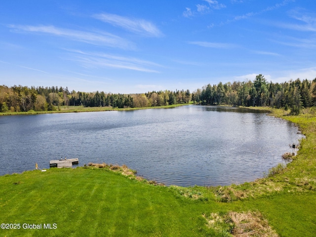 2694 State Route 10, Summit, NY 12175 - water view featuring a heavily wooded area