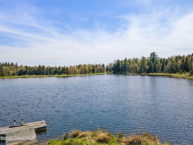 2694 State Route 10, Summit, NY 12175 - water view with a floating dock and a heavily wooded area