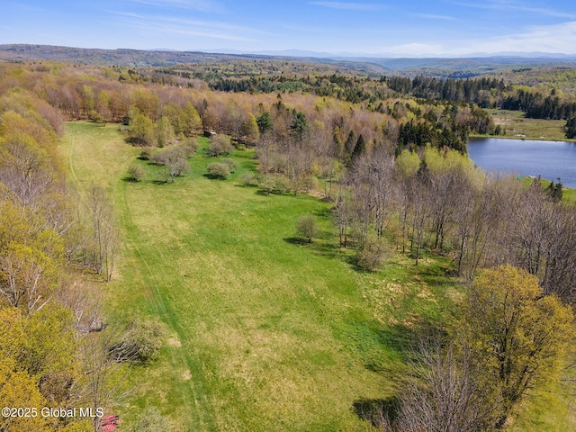 2694 State Route 10, Summit, NY 12175 - drone / aerial view of a heavily wooded area and a nearby body of water