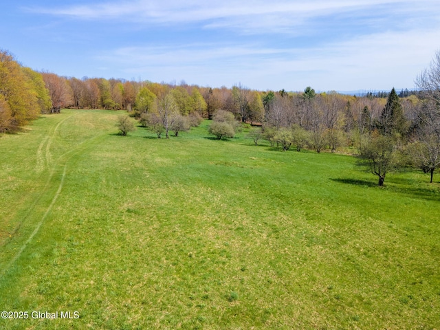 2694 State Route 10, Summit, NY 12175 - view of green lawn