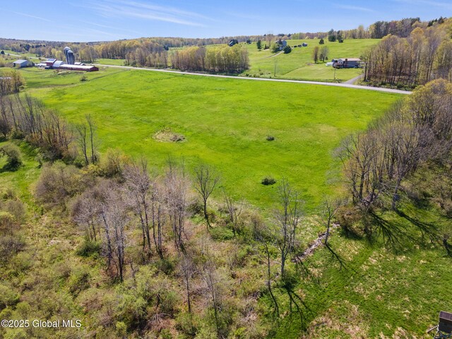 2694 State Route 10, Summit, NY 12175 - view of rural area with a pastoral area