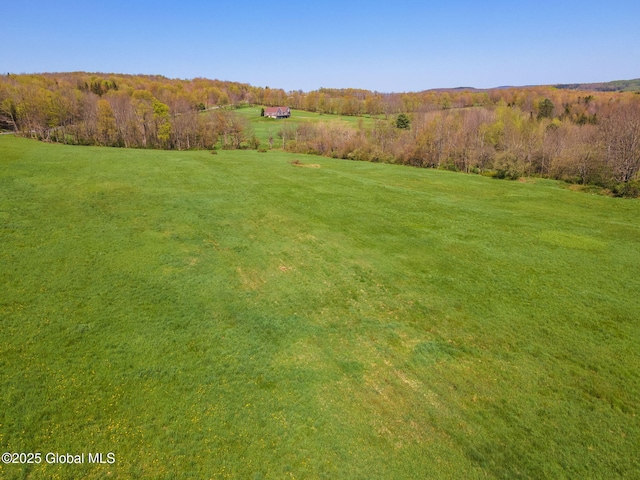 2694 State Route 10, Summit, NY 12175 - view of grassy yard with a rural view