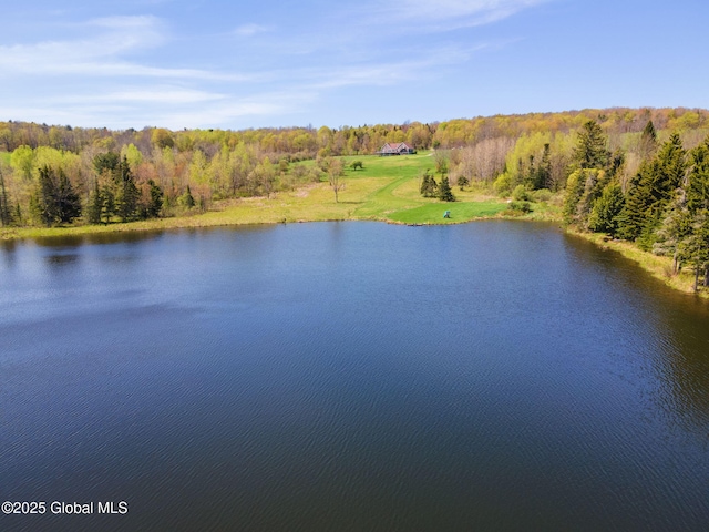 2694 State Route 10, Summit, NY 12175 - water view featuring a heavily wooded area